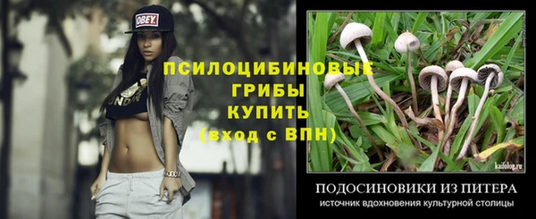 прущий лед Струнино