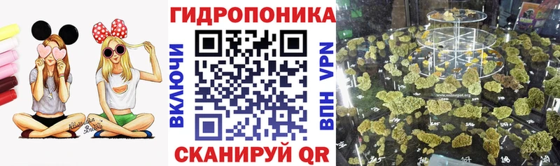 Шишки марихуана план  Гуково 